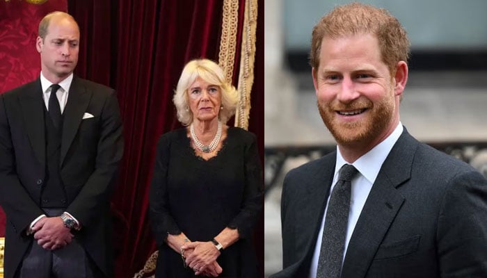 Prince William, Queen Camilla accused of blocking Harrys return to royal family
