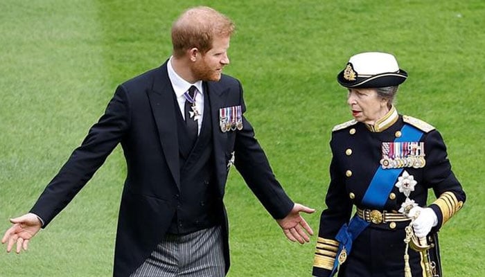 Princess Anne makes unexpected move amid William-Harry feud