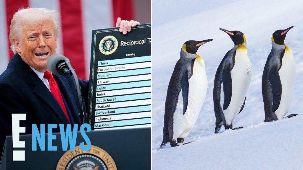 President Trump Puts Tariffs on Islands Where ONLY Penguins Live | E! News