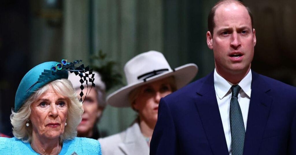 Expert Shares Prince William’s Plans for His Stepmother Camilla Once He’s King Expert Shares Prince William’s Plans for His Stepmother Camilla Once He’s King