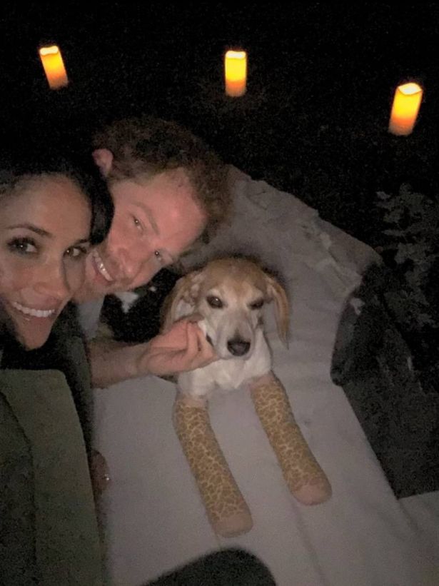 Meghan's dog Guy joined in with the proposal