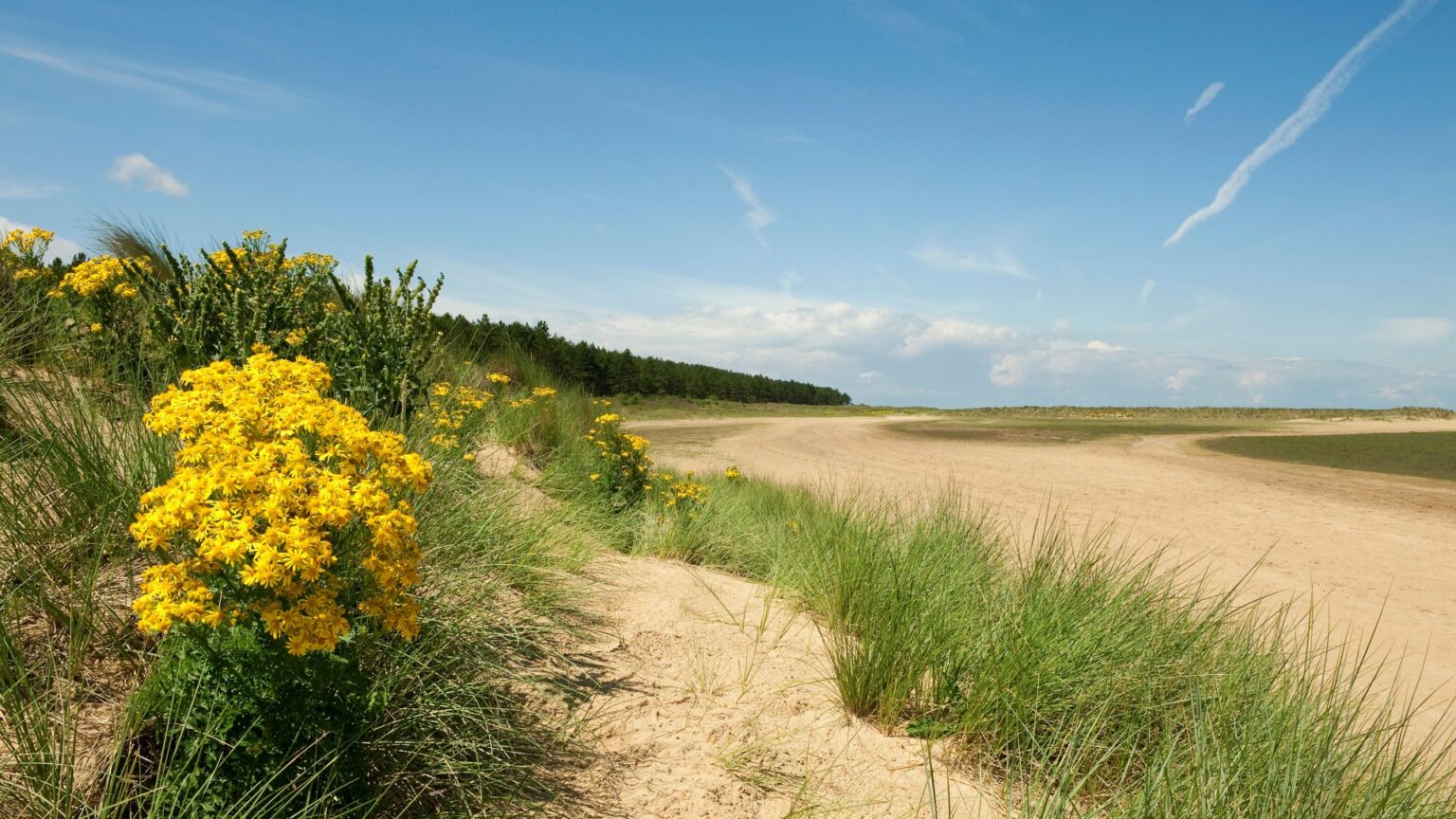One of UK’s best beaches that’s loved by Prince William and Kate gets £150,000 upgrade One of UK's best beaches that's loved by Prince William and Kate gets £150,000 upgrade