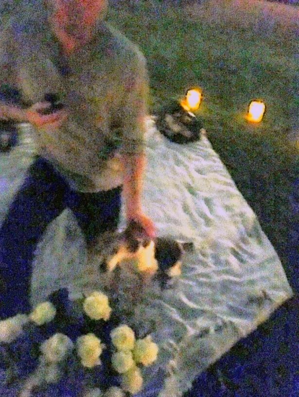 Harry proposes to Meghan 