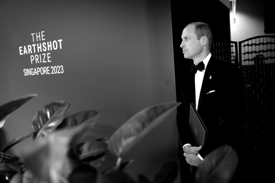 Prince William at the 2023 Earthshot Prize Awards in Singapore.