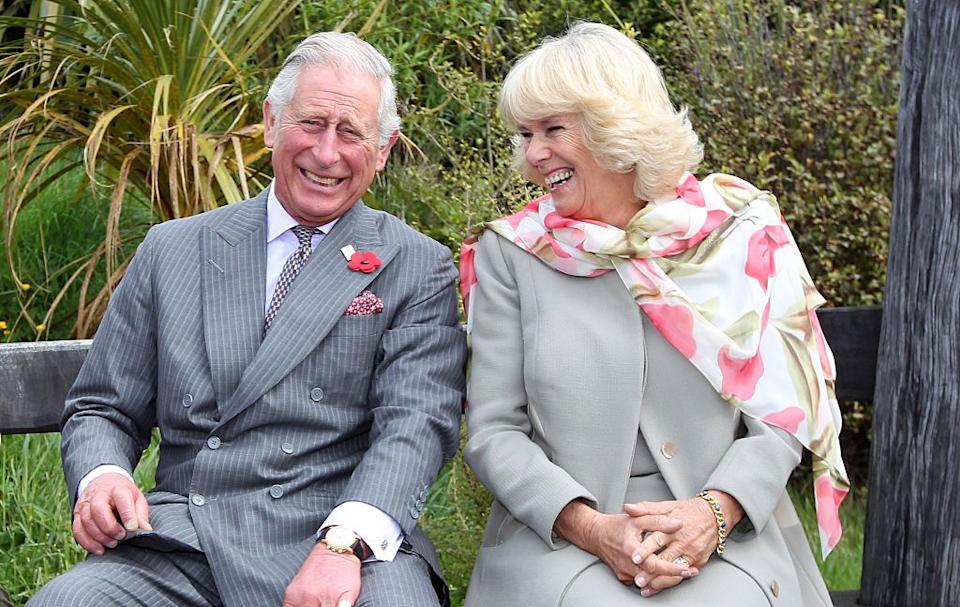 dunedin, new zealand november 5: prince charles, prince of wales and camilla, duchess of cornwall continue to laugh after a bubble bee took a liking to prince charles during their visit to the orokonui ecosanctuary on november 5, 2015 in dunedin, new zealand. the royal couple are on a 12 day tour visiting seven regions in new zealand and three states and one territory in australia. (photo by rob jefferies/getty images)