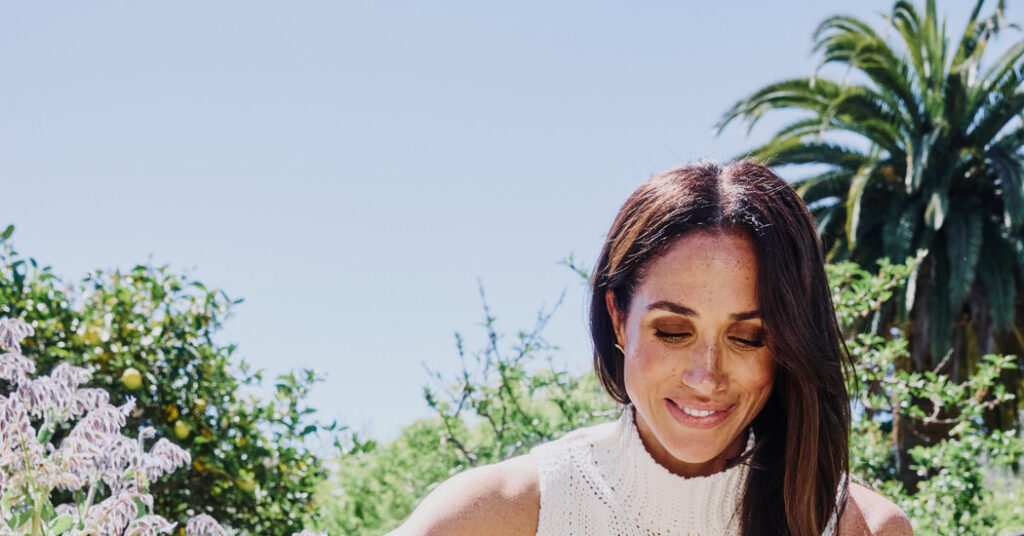 Times Reporter Who Covered Meghan Markle’s Netflix Show Describes Intense Feedback