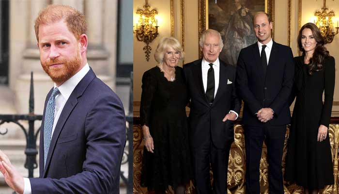 Prince Harry makes big plans for kids after emotional message to Royal Family