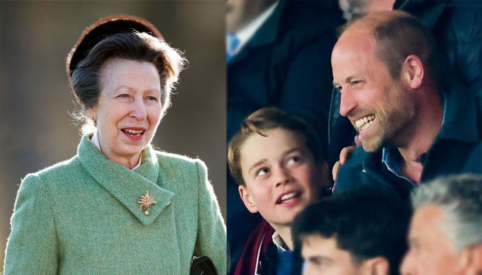 Princess Anne fulfils royal duty in Wales as Prince William enjoys soccer game