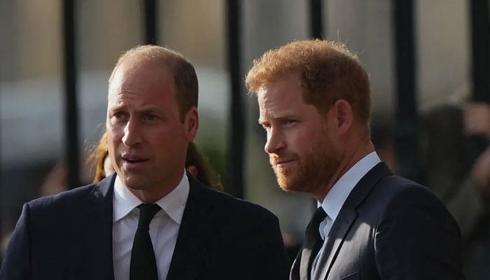 Prince Harry 'deliberately annoys' Prince William with planned moves