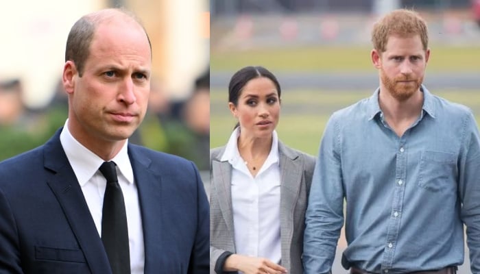 Prince Williams surprise move leaves Prince Harry, Meghan Markle baffled