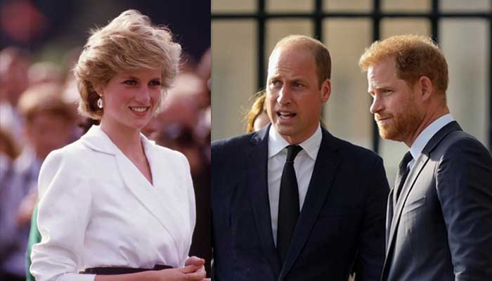 Prince Harry to honor Dianas legacy through shared charity with Prince William