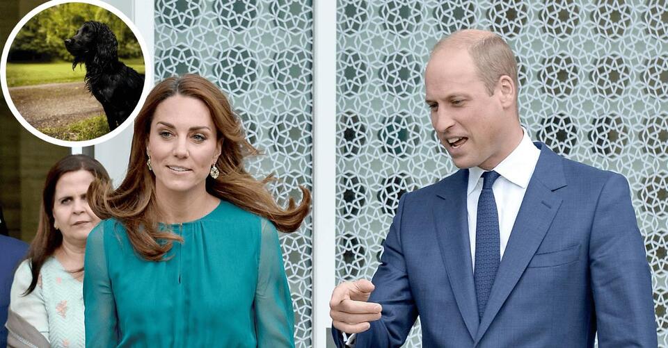 Kate Middleton And Prince William Honor Their Dog On National Pet Day With Sweet Tribute