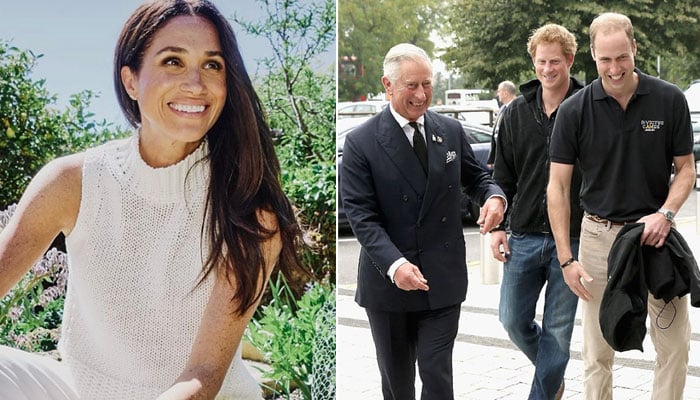 Meghan takes major step to rebuild bridges between King Charles, Prince William and Harry