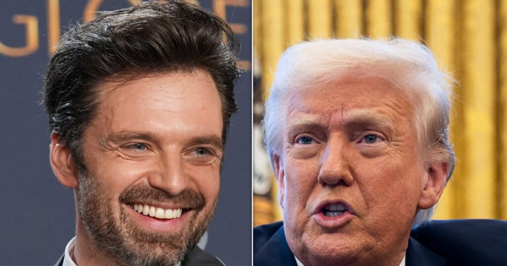 Sebastian Stan Names 1 Thing He Thinks Trump Liked About 'The Apprentice'