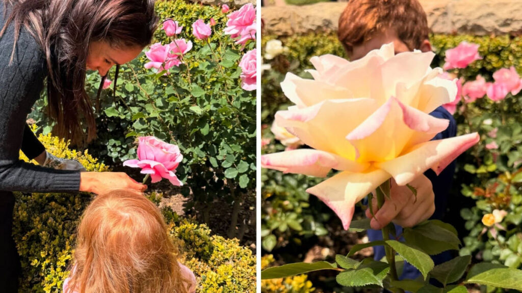 Meghan Markle gives rare glimpse of her ‘little loves’ Archie and Lilibet picking flowers Meghan Markle gives rare glimpse of her 'little loves' Archie and Lilibet picking flowers