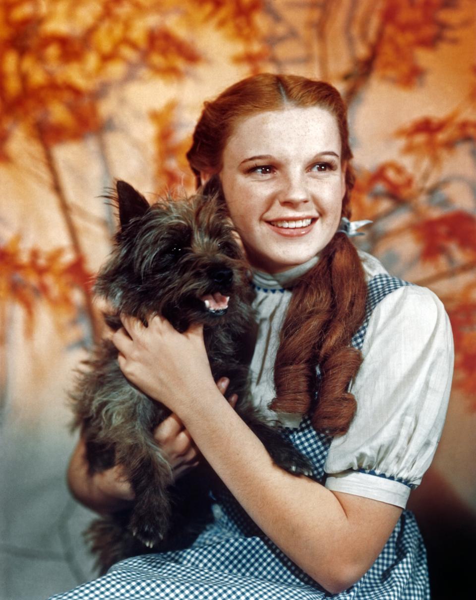 A smiling young woman holding a small dog, wearing braided hair and a gingham dress, reminiscent of classic cinema