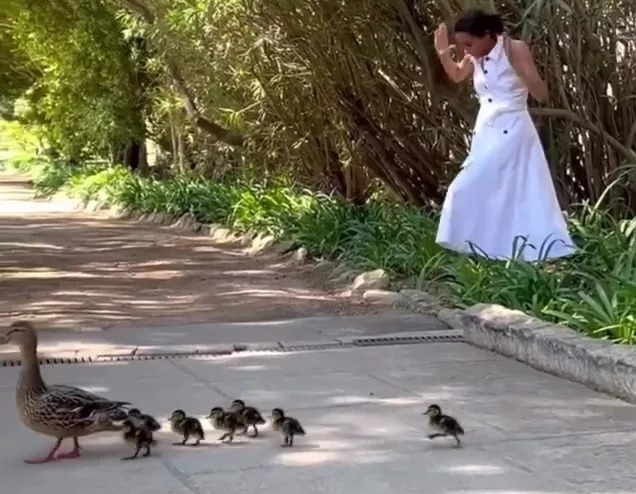 Woman in white dress reacting to a mother duck and ducklings crossing a path.