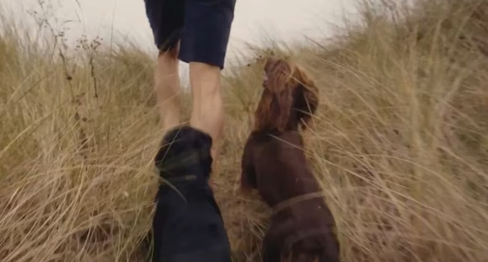 A mysterious brown Cocker Spaniel appeared in Kate Middleton's Instagram video celebrating Mother's Day 2025