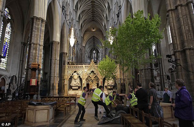 Their installation, however, proved more challenging than expected, with workers reportedly having to turn the first maple on its side just to fit it through the Abbey doors
