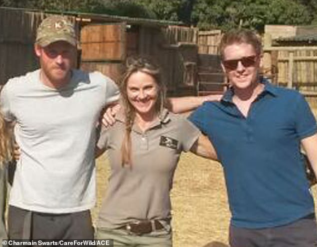 Harry and Hugh are seen during a 2015 visit to the Khulula Care for Wild Centre in South Africa with Care for Wild Centre owner Petronel Nieuwoud