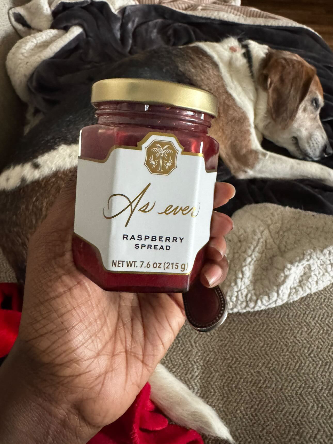 A woman's hand holding a jar of As ever raspberry jan in front of a dog