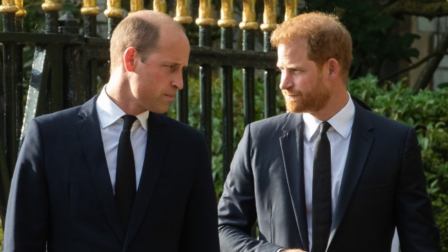 Are Prince Harry & William Talking? Are Prince Harry & William Talking?