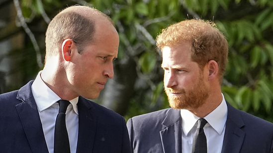 Princes William left 'frustrated' at palace officials after Prince Harry's surprise Ukraine visit(AFP)