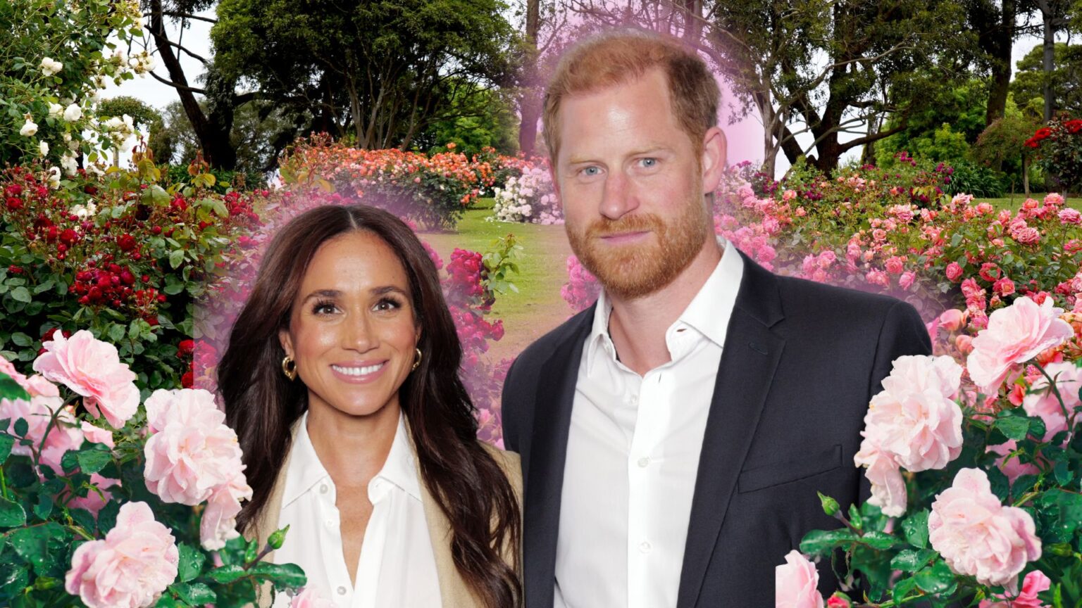 Meghan Markle & Prince Harry
