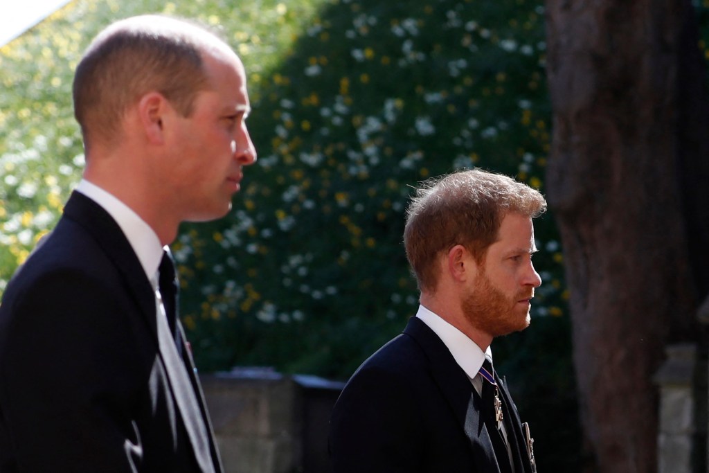 'Swaggery' Prince William needs Prince Harry to save the monarchy: royal expert
