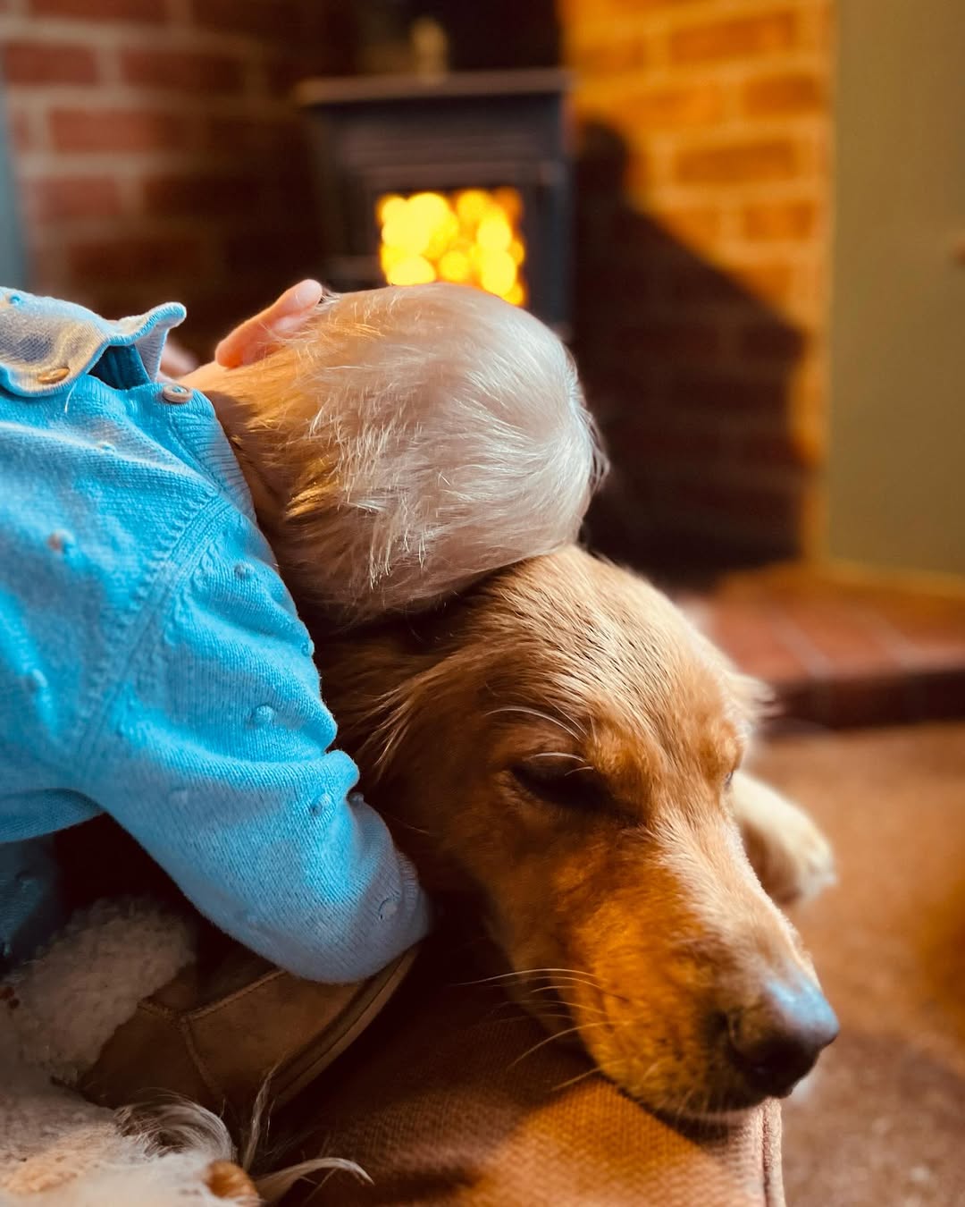 Inigo Middleton hugging a dog in front of a fireplace