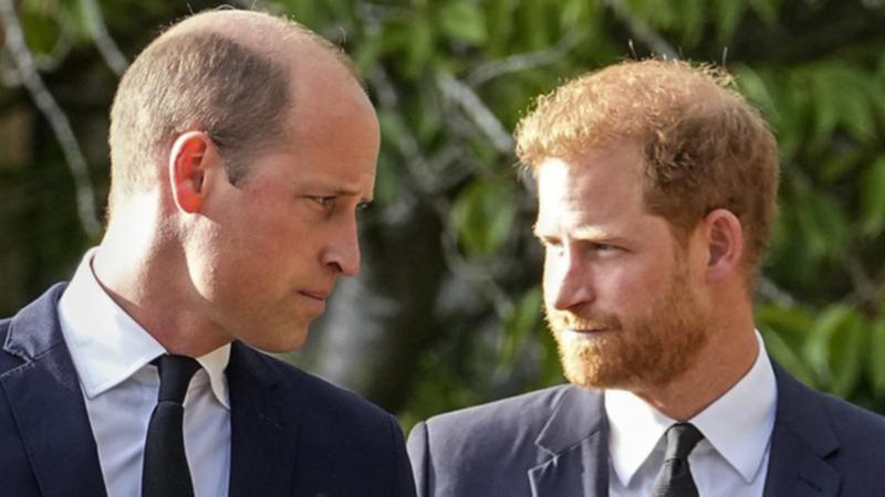 Prince William and Harry grieve loss of bodyguard, with them when mother Diana tragically died in car crash Prince William and Harry grieve loss of bodyguard, with them when mother Diana tragically died in car crash