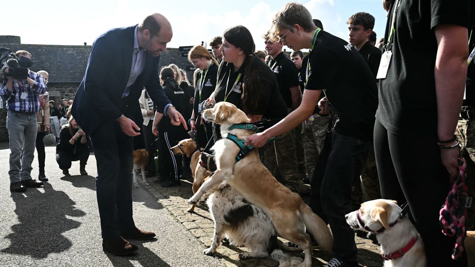 Moment excitable Labrador jumps up to greet Prince William during Cornwall visit