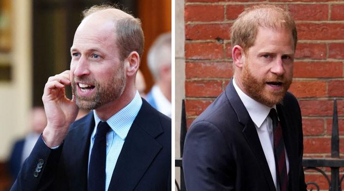 Prince William’s final attempt to ease tensions with Harry laid bare