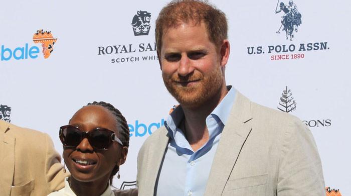 Prince Harry former charity releases statement amid ongoing probe