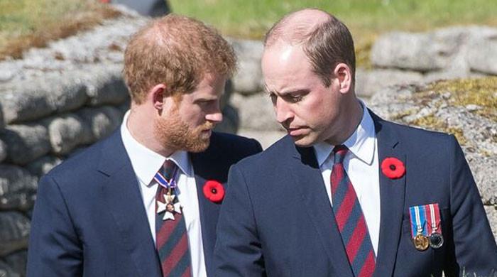 Royal expert shares major claim about Prince William, Prince Harry reunion Royal expert shares major claim about Prince William, Prince Harry reunion
