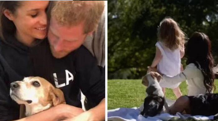 Meghan Markle spills the beans on Princess Lilibet's childhood and daily routine