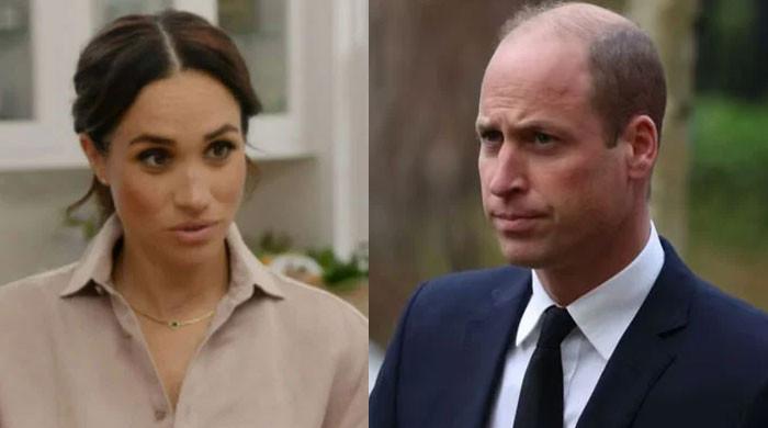 Prince William shaking down HRH of Prince Harry’s wife as he ‘despises her’ Prince William shaking down HRH of Prince Harry's wife as he ‘despises her'