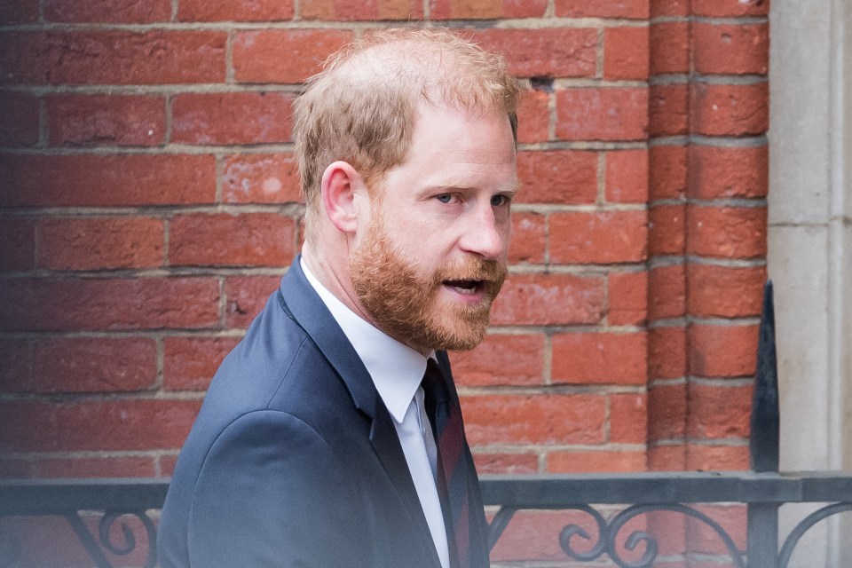 Prince Harry at Buckingham Palace.