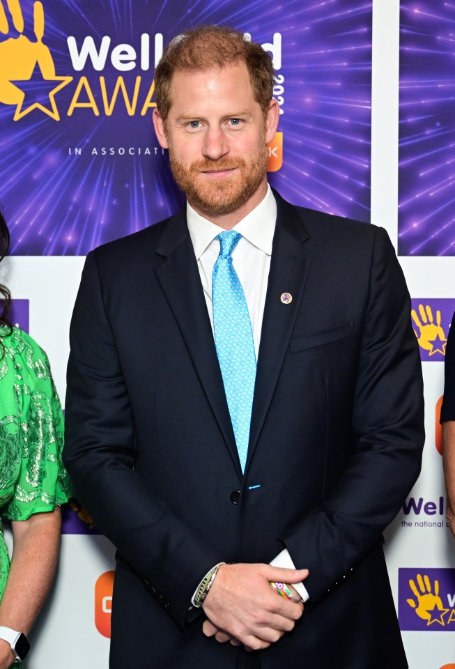 Prince Harry at the WellChild Awards.