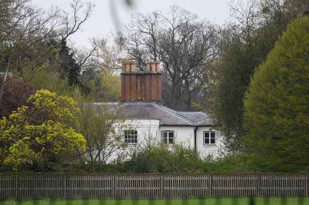 View of Frogmore Cottage amid trees.