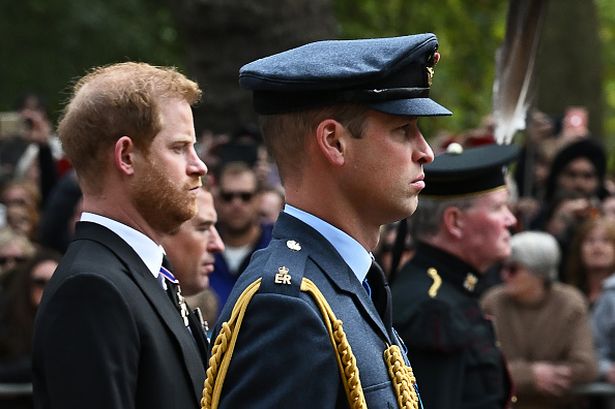 Prince William and Prince Harry follow the coffin of Queen Elizabeth II, draped in the Royal Standard, as it travels on the State Gun Carriage of the Royal Navy, from Westminster Abbey to Wellington Arch 