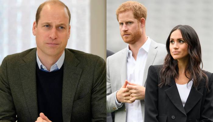 Prince William reportedly wants to take away the Sussexes HRH titles for good when hes king