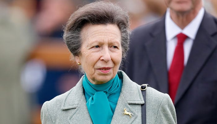 Princess Anne quietly supports King Charles amid new Harry claims
