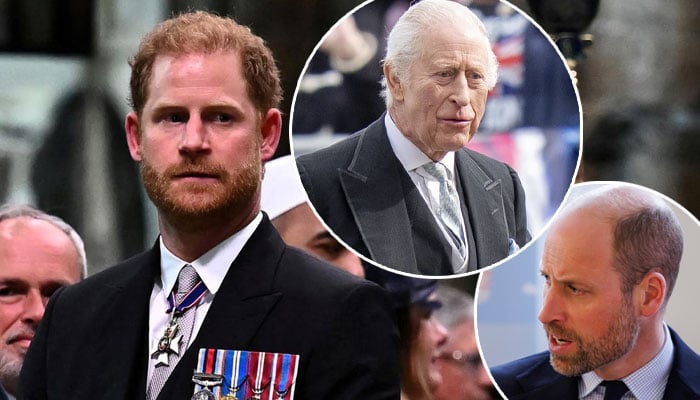 Prince Harry ‘poking’ King Charles, Prince William with foolish moves
