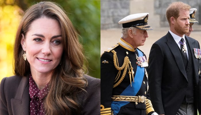 Kate Middleton key role to ease tension between King, Harry explained
