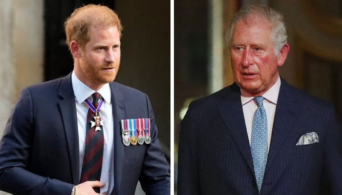 Prince Harry, King Charles key meeting details emerge after reunion plea