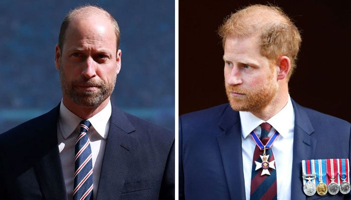 Prince William, Prince Harry heart-breaking loss: princes lose special figure from childhood