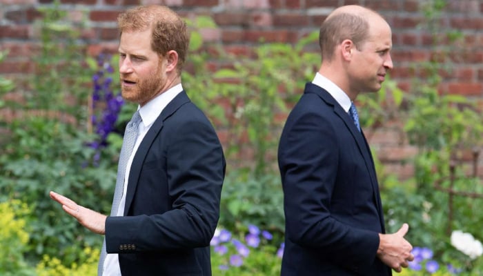 Prince William, Harry take inspiration from same key figure despite feud