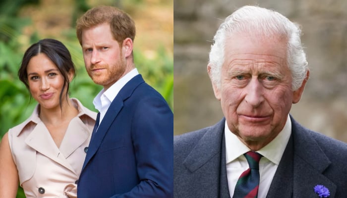 Meghan Markle, Harry plan to wage war against Palace with shocking move