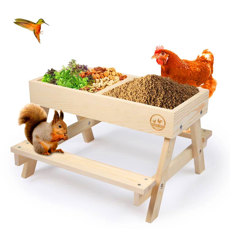 Chicken Picnic Table 